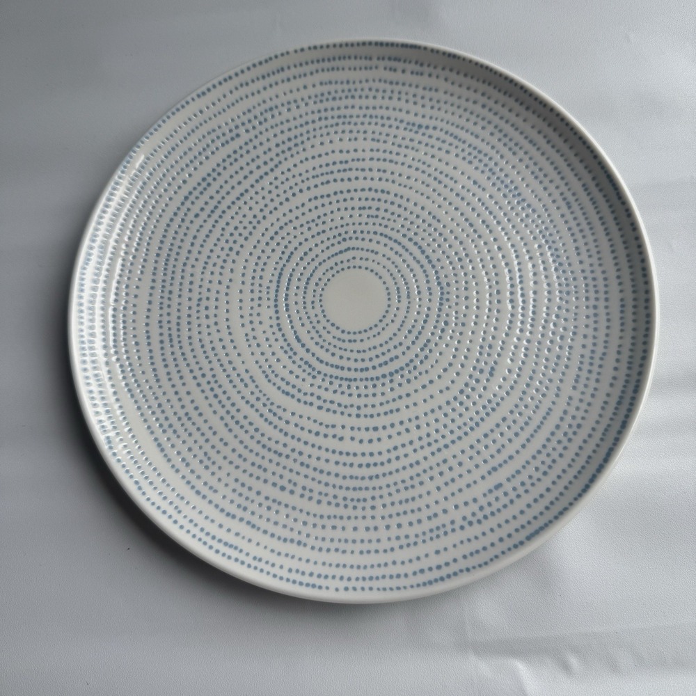Royal Doulton - Ellen DeGeneres Polar Blue Dots -‎ 8 3/8" Salad Plate EUC LOVE